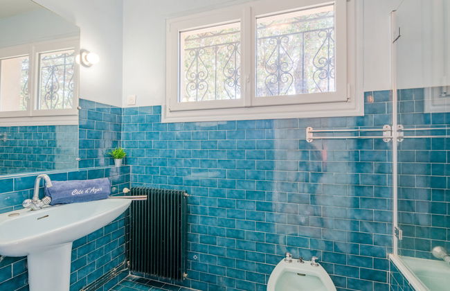 Les Gaulois - Foto 14