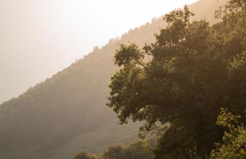 Pergola Residence - Foto 71