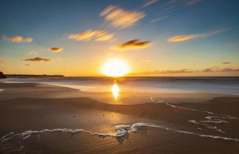 Flamingo Apart - Foto 30