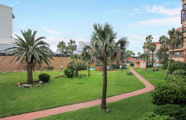 Maravilla 233 - Indigo Flamingo - Foto 2