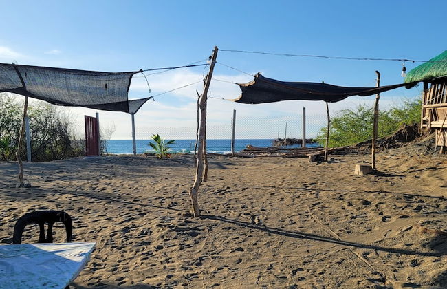 Live N Love - Foto 16