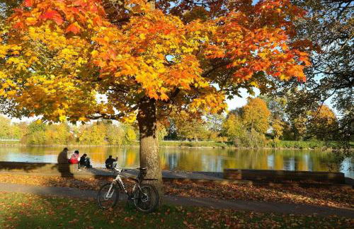 Ferienwohnung Am See 1 - Foto 31