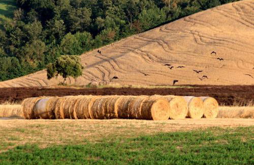 Agriturismo La Roverella - Foto 27