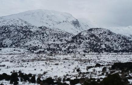 Athivoli Elegant Apartments - Foto 46