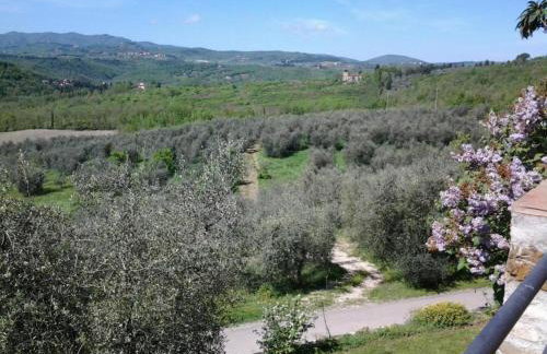 Agriturismo Fattoio alle Ripe - Photo 62