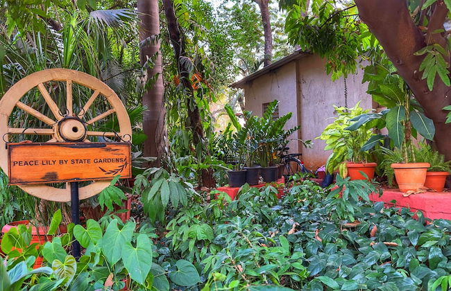 Peace Lily Cottage - Photo 35