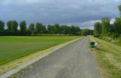 Ferienwohnung Rheinaue - Foto 38