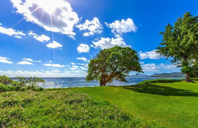 Beautifully Upgraded, Full Kitchen, Comfy King Bed, Ac 1 Bedroom Condo by RedAwning - Foto 23