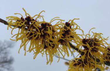 Ferienwohnung "Altes Schloss Wilhelmsfeld" - Foto 26