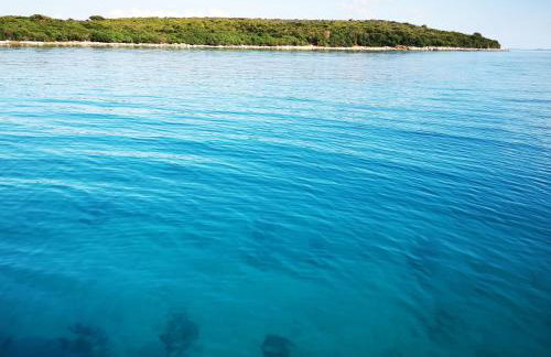 Residence Family Plazina - Place 1 & 2 - Foto 50