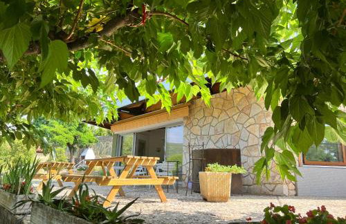 L'Olivada, villa d'exception - Photo 2