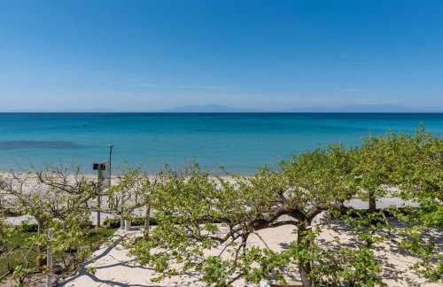 Alkioni by the Sea Hotel - Photo 66