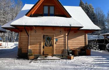 Żabie Dworki Witów Luxury Chalets & SPA - Foto 41