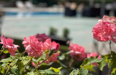 Stomio Villague - Foto 63