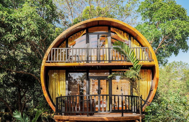 Woodland Sanctuary - Photo 7