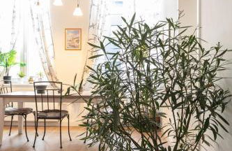 150 qm Luxus im Zentrum - Foto 4