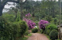 Cantinho de Mauá - Photo 39