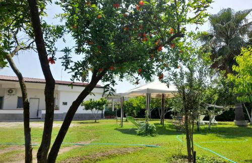 Aragon Cottage Appartament - Foto 19