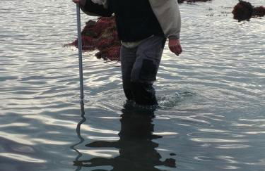 Maison de vacances 3 chambres à 400 m de la plage Kairon - Saint Pair sur mer - Foto 38