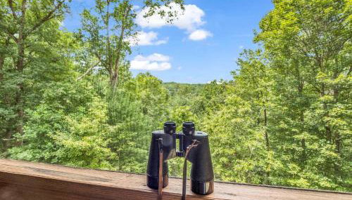 Peaceful Lake Lure Cabin, Hot Tub, Huge Screened Porch, Private Beach - Foto 4