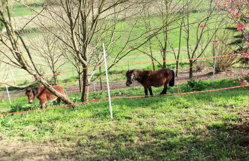 Casa dei Ciliegi Castell'Alfero - Foto 42