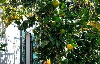 Apartments Lazarić - Foto 9