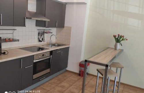 LuxApartament 3 - z dużym tarasem i garażem w Zeta Park - Photo 5