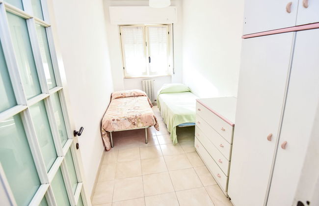 Green Marine, Palme, Ismare - Foto 12