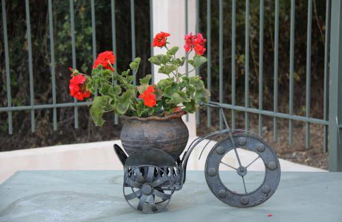 Achladi Beach - Photo 53