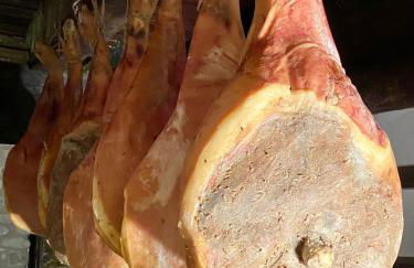 Castello di Viano - Foto 17