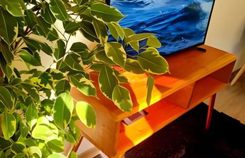 Apartamento Loft Gramado - Photo 14