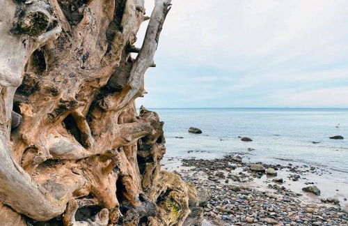 Fewo Horst 3 blau - Foto 10