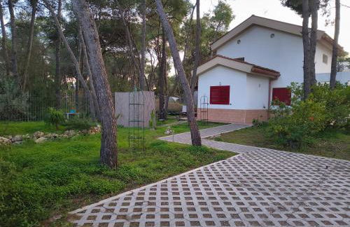 Villa immersa in pineta 100m dalla spiaggia - Foto 28