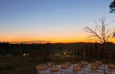 Domek "Sen 100 Jezior" - Foto 34