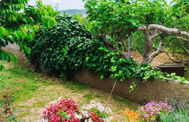 Apartments Edi - Photo 10