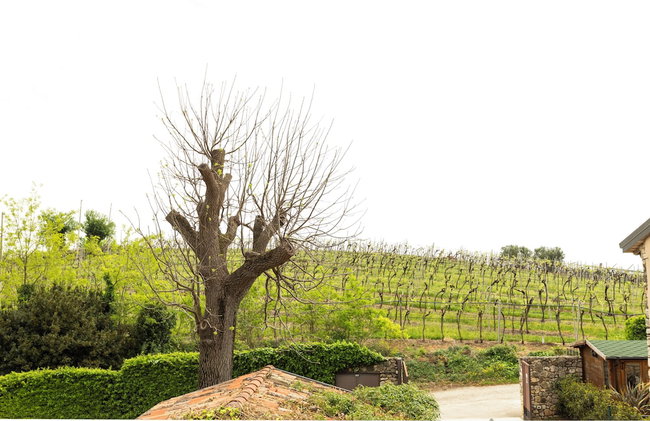 Corte dei Soavi - Apartments - Photo 50