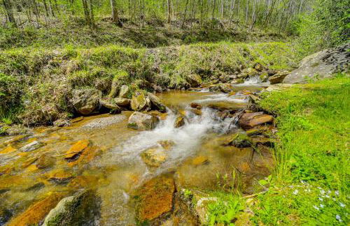 Spring Creekside Getaway at Whittier Cabin with Deck - Foto 23