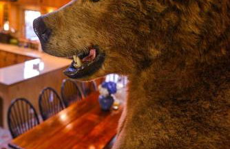 Colgate Lake Lodge - Foto 54