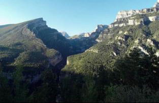 La bergerie Leffler - Foto 29