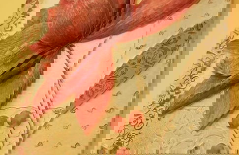 Masseria Frangiosa - Foto 48