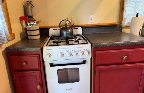 Cozy Rustic Cabin with Riverside Patio on the Pecos River – Pecos, New Mexico - Foto 20