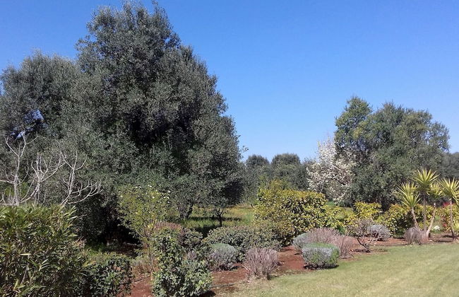 Trulli Stella in Ceglie Messapica - Foto 14