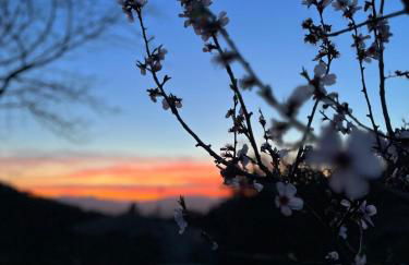 Agriturismo Il Sorbo Appartamento Lavanda - Foto 15