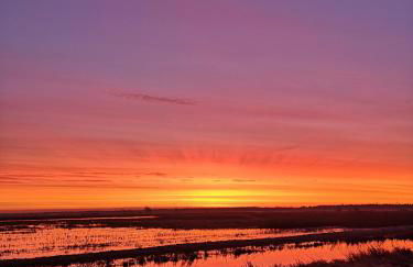 Ferienwohnung Sort Sol Grellsbülldeich 7 - Foto 51