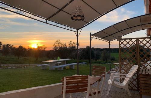 Herdade Da Maridona - Agroturismo - Foto 62