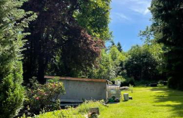 Vogtlandperle - Foto 27