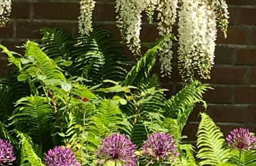 Ferienhaus Altes Gesellenhaus bei Bad Bevensen - Foto 20