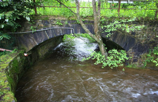 Forest Escape, Luxembourg - Foto 39