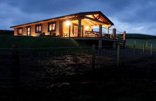 Bryn Eiddon Log Cabin - Photo 41