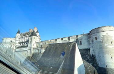 Vue incroyable Loire et Chateau - Foto 20